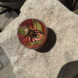 Spider & Weed Leaf Shift Knob
