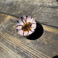 Spider & Flower Shift Knob