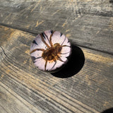 Spider & Flower Shift Knob
