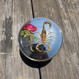 Scorpion and Rose Vented Gas Cap