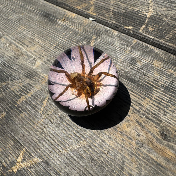 Spider & Flower Shift Knob