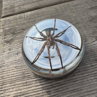 Spider Bayonet Gas Cap