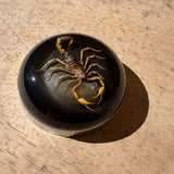 Black Scorpion Bayonet Gas Cap