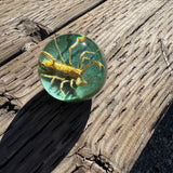 Tan Scorpion Shift Knob