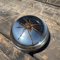 Spider Bayonet Gas Cap
