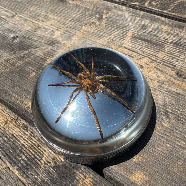 Spider Bayonet Gas Cap