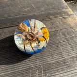 Spider & White Flower Shift Knob