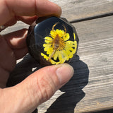 Scorpion Diamond Shift Knob