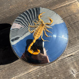 Scorpion and Barbwire Vented Gas Cap