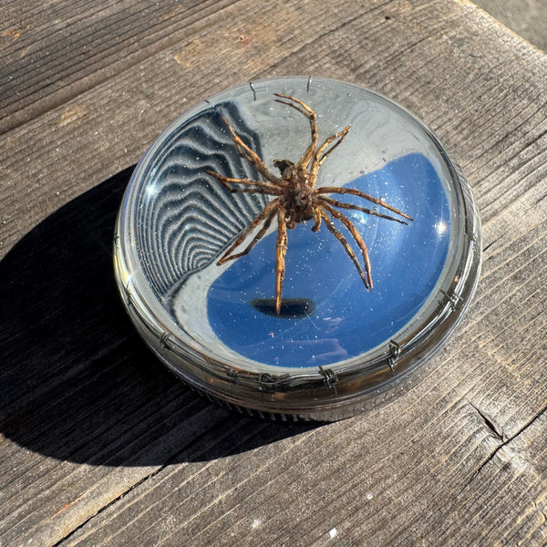 Spider and Barbwire Bayonet Gas Cap