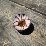 Spider & Flower Shift Knob