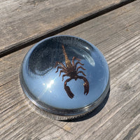 Scorpion Bayonet Gas Cap