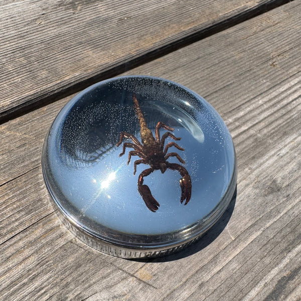 Scorpion Bayonet Gas Cap
