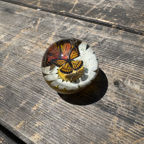 Monarch Shift Knob