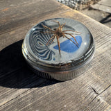 Spider and Barbwire Bayonet Gas Cap