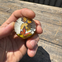 Monarch Shift Knob