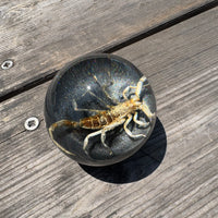 Tan Scorpion Shift Knob