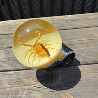 Scorpion Steering Wheel Knob