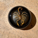 Black Scorpion Bayonet Gas Cap