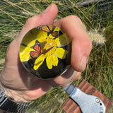 Monarch and Yellow Daisy Shift Knob