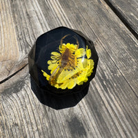 Scorpion Diamond Shift Knob