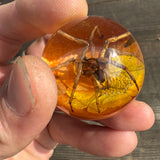 Spider & Orange/Yellow Flower Shift Knob