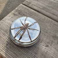 Spider Bayonet Gas Cap