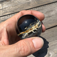 Tan Scorpion Shift Knob