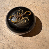 Black Scorpion Bayonet Gas Cap
