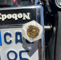 Weed Nug License Plate Bolts