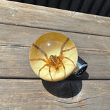 Spider Steering Wheel Knob
