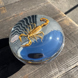 Scorpion and Barbwire Vented Gas Cap