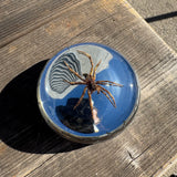 Spider and Barbwire Bayonet Gas Cap