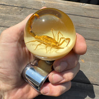Scorpion Steering Wheel Knob