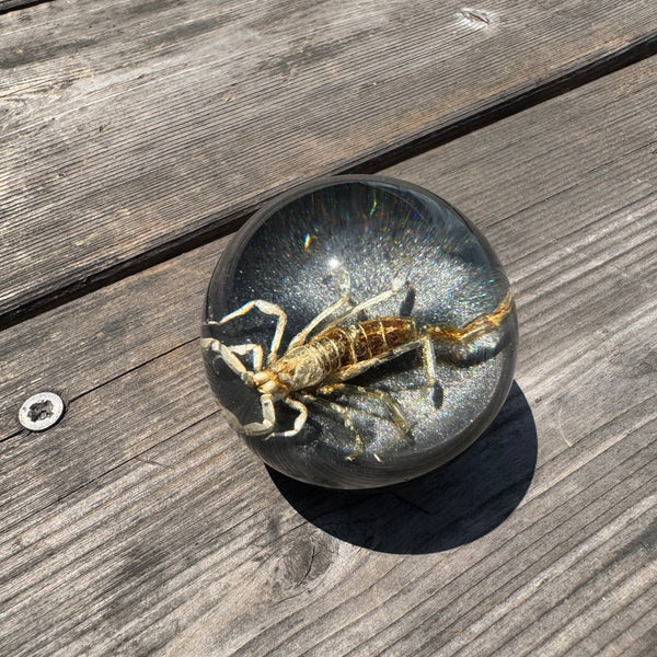 Tan Scorpion Shift Knob
