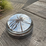 Spider Bayonet Gas Cap