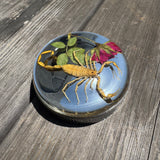 Scorpion and Rose Bayonet Gas Cap