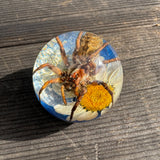 Spider & White Flower Shift Knob