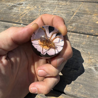 Spider & Flower Shift Knob