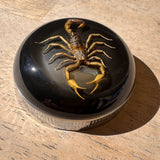 Black Scorpion Bayonet Gas Cap