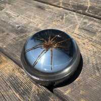 Spider Bayonet Gas Cap