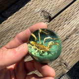 Tan Scorpion Shift Knob