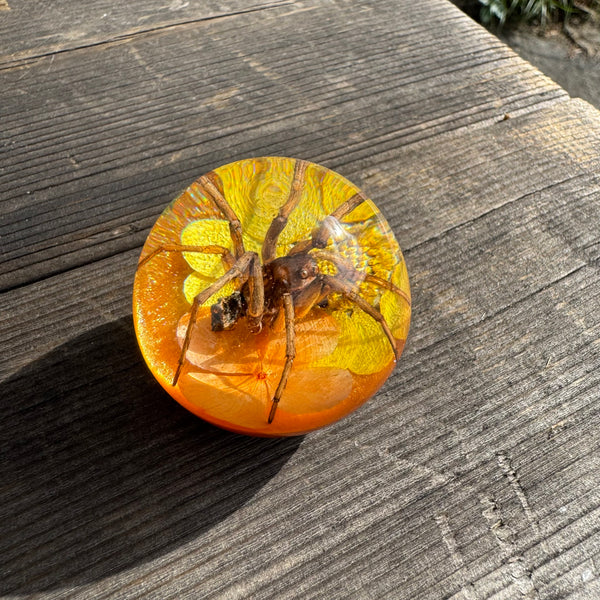 Spider & Orange/Yellow Flower Shift Knob