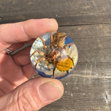 Spider & White Flower Shift Knob