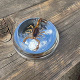 Brown Scorpion Bayonet Gas Cap