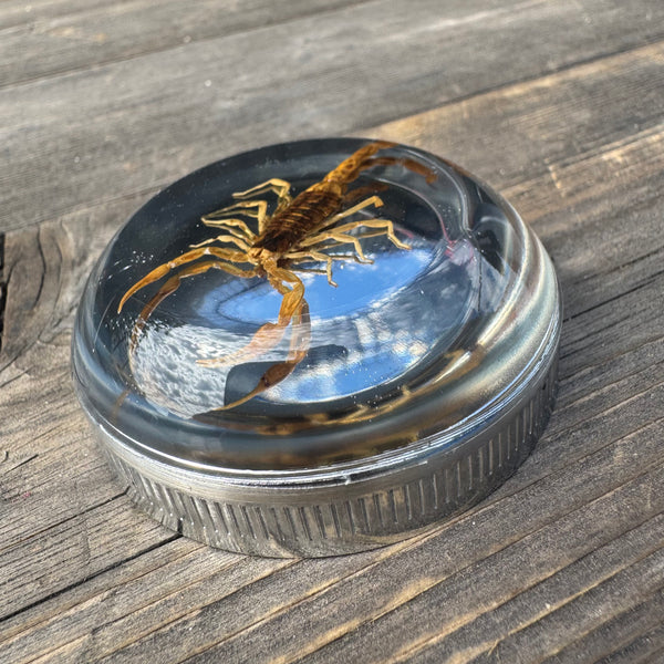 Brown Scorpion Bayonet Gas Cap